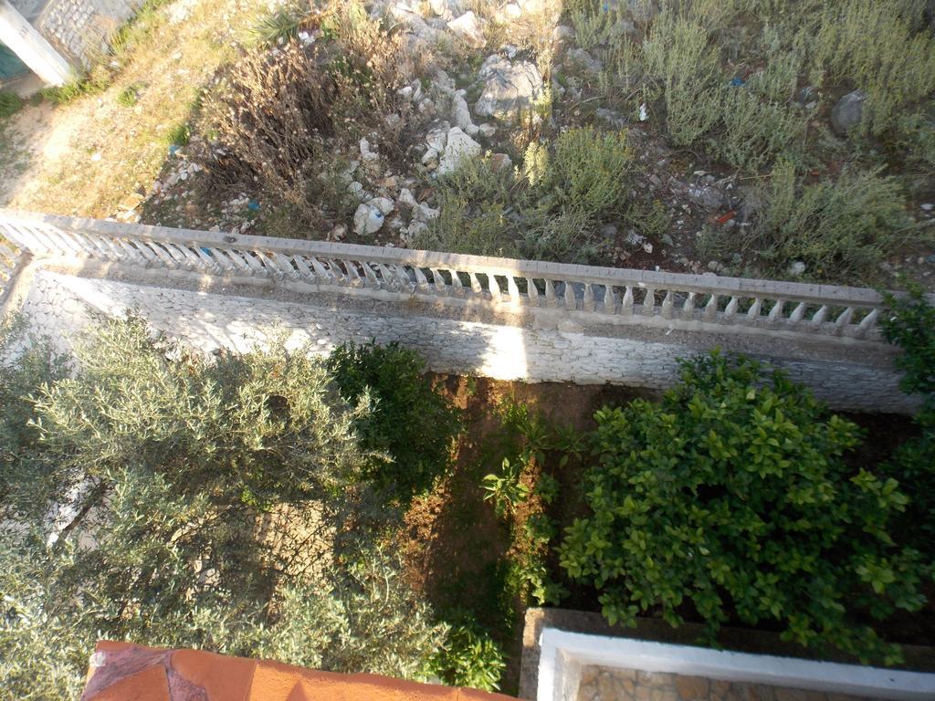 סרנדה Guest House Vila Bega מראה חיצוני תמונה