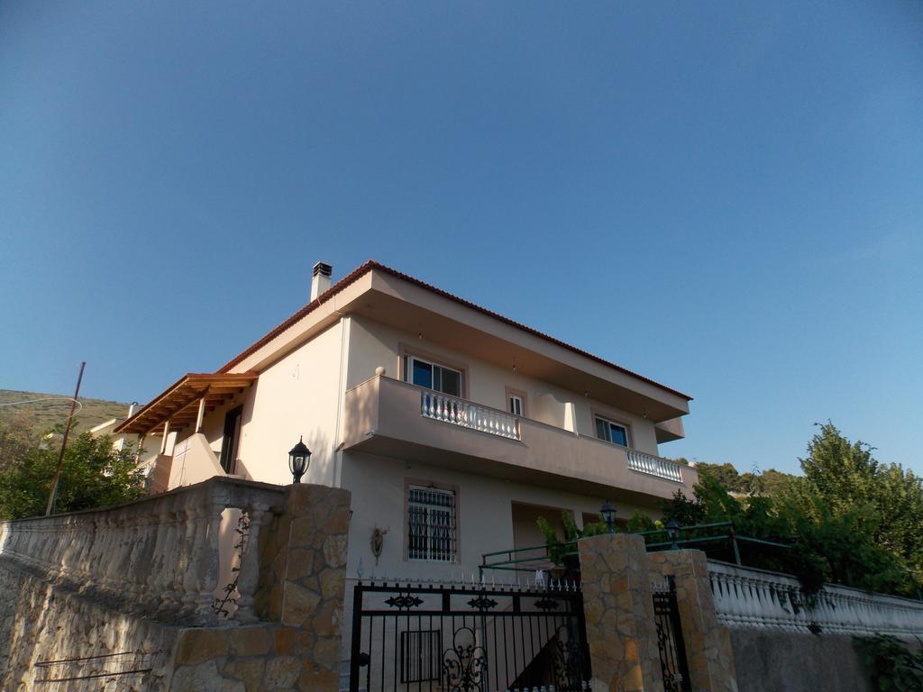 סרנדה Guest House Vila Bega מראה חיצוני תמונה
