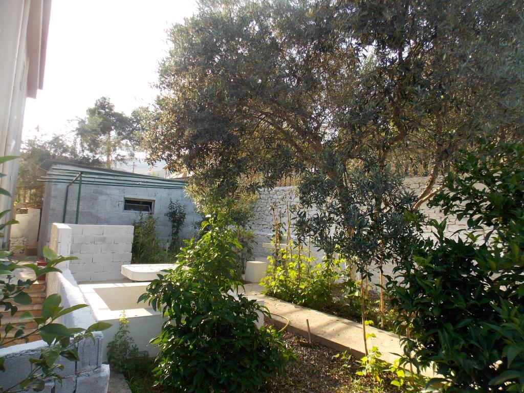 סרנדה Guest House Vila Bega מראה חיצוני תמונה
