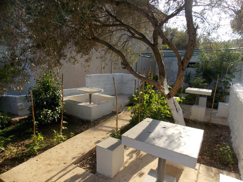 סרנדה Guest House Vila Bega מראה חיצוני תמונה