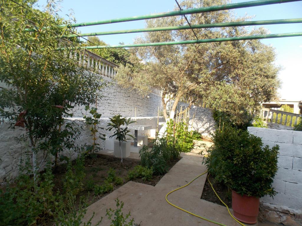 סרנדה Guest House Vila Bega מראה חיצוני תמונה