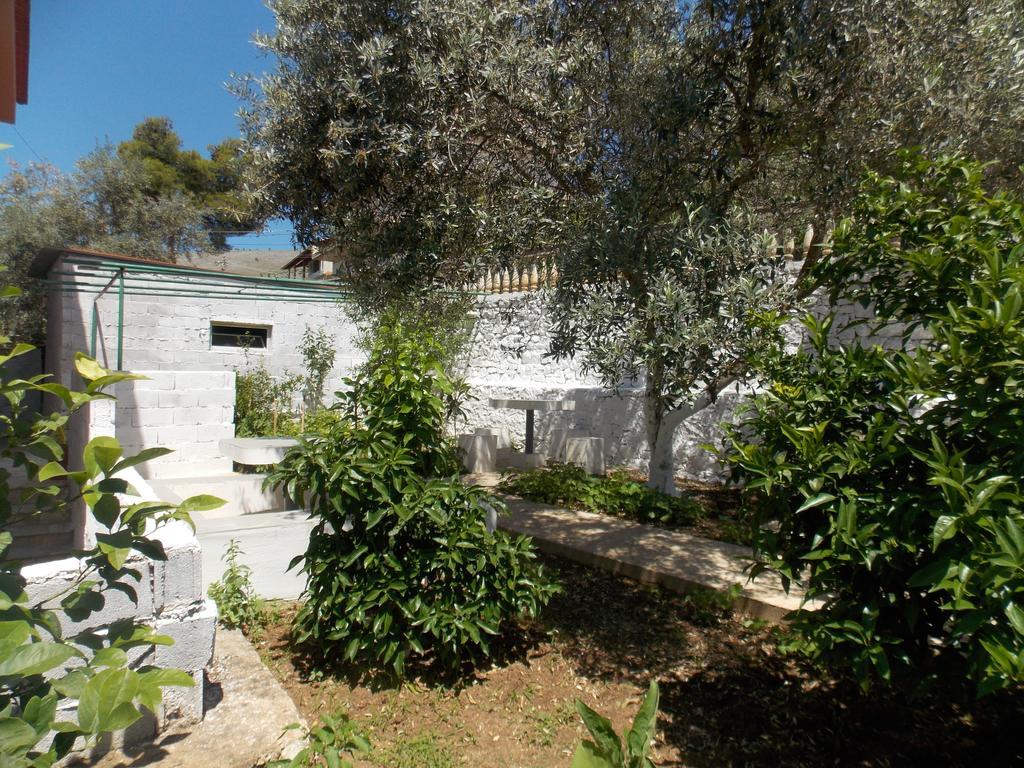 סרנדה Guest House Vila Bega מראה חיצוני תמונה