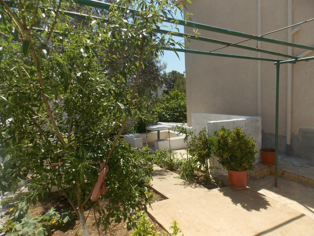 סרנדה Guest House Vila Bega מראה חיצוני תמונה
